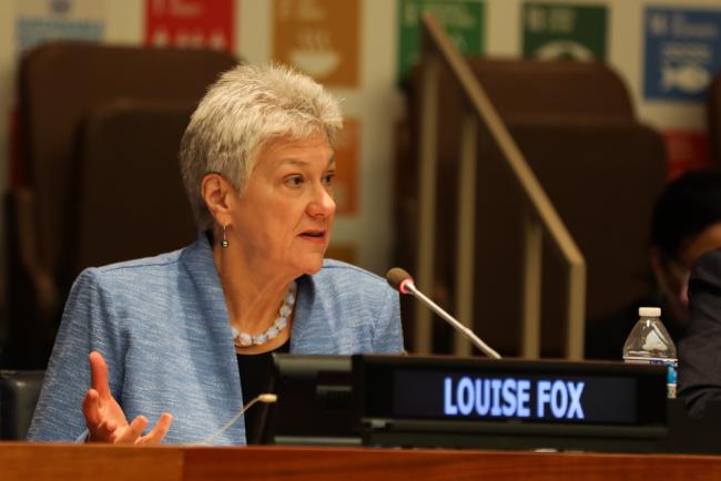 Louise Fox, Brookings Institute