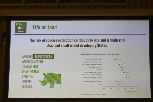 A slide highlights the continued threat of extinction as discussions focus on SDG 15 - life on land