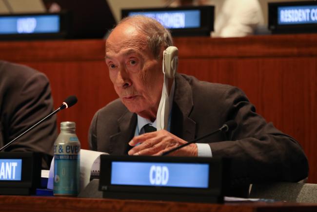 Saad Alfarargi, UN Special Rapporteur on the Right to Development