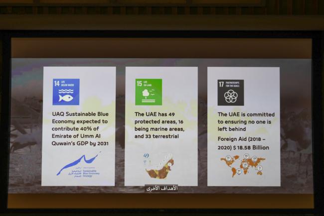 A slide highlights the UAE's achievement in progressing on several SDGs