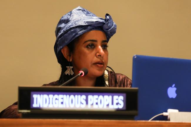 Mariam Wallet Aboubakrine, Indigenous Peoples