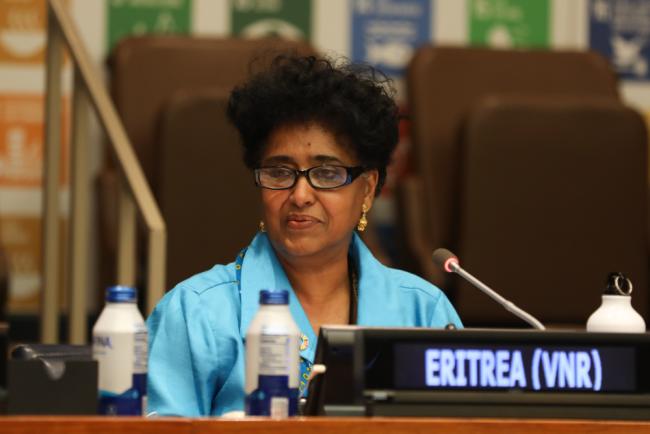 Sofia Tesfamariam, Permanent Representative of Eritrea to the UN