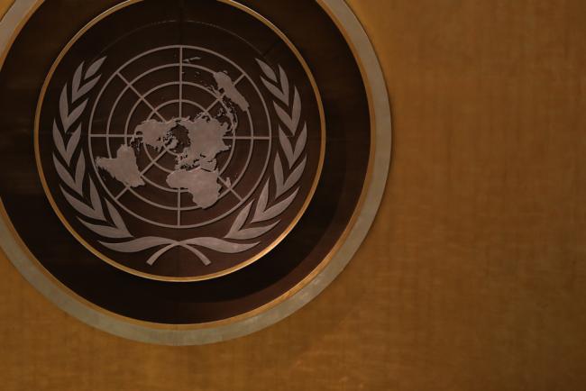 UN logo