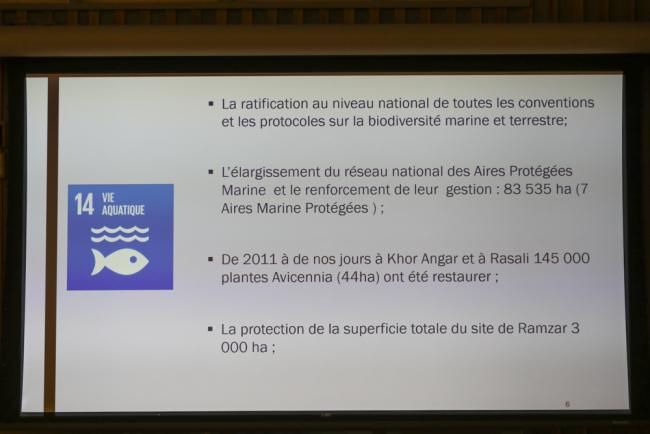 A slide from Djibouti's VNR highlights their progress towards SDG 14 - life below water