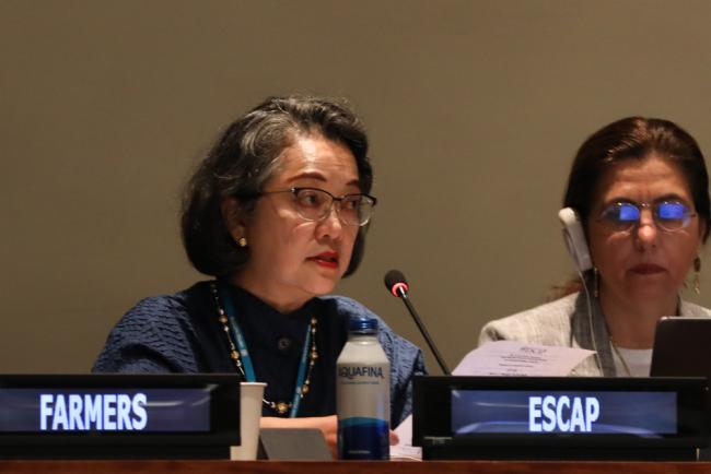 Armida Salsiah Alisjahbana, Executive Secretary, UN Economic and Social Commission for Asia and the Pacific (ESCAP)