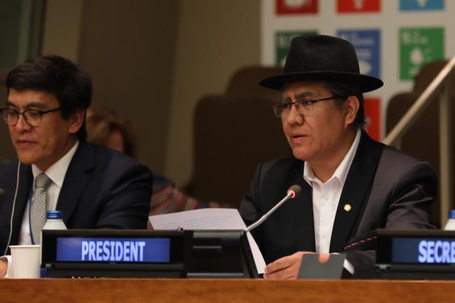 Diego Pary Rodríguez, Vice President, UN Economic and Social Council (ECOSOC)