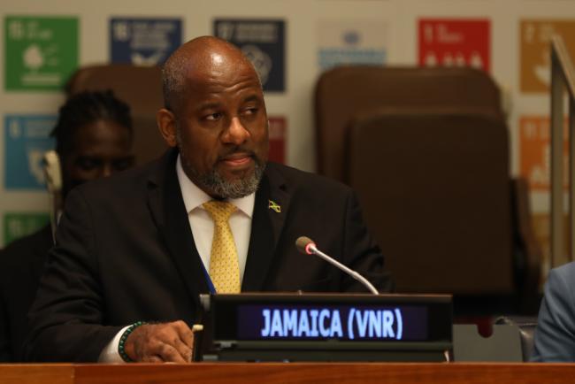 Wayne Henry, Director General, Planning Institute, Jamaica