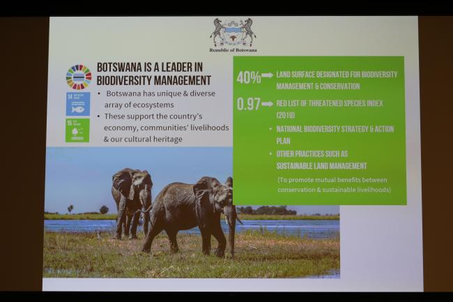 A slide from Botswana's VNR highlights their efforts to achieve SDG 15 - life on land