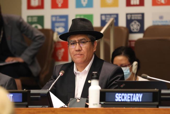 Diego Pary Rodríguez, Vice President, ECOSOC