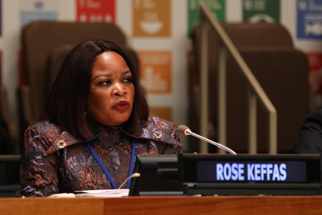 Rose Keffas, Office of the Senior Special Assistant to the President on SDGs, Nigeria