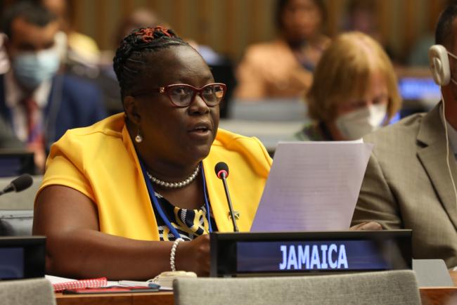 Marlet Wellington, Ministry of Local Government and Rural Development, Jamaica