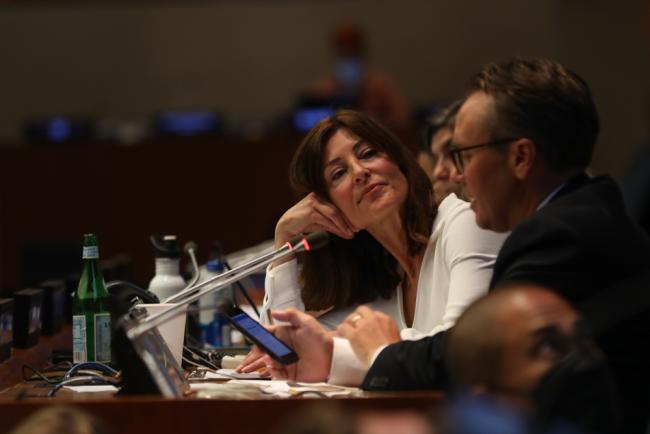 Lydia Capolicchio, Swedish journalist, moderated the session on acting at the local level