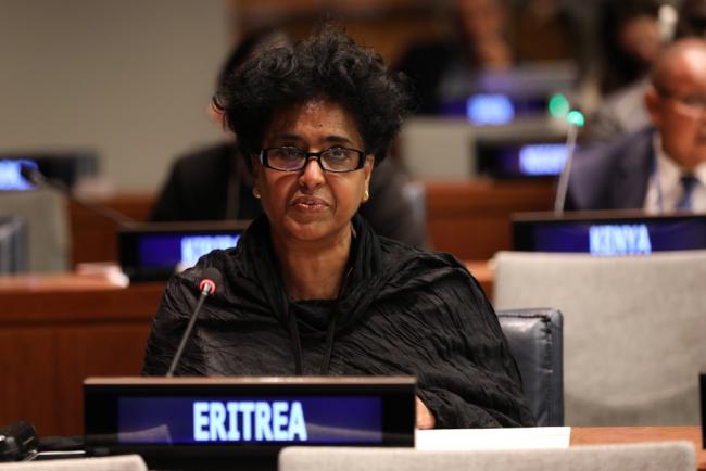 Sophia Tesfamariam, Permanent Representative of Eritrea to the UN, on behalf of the African Group