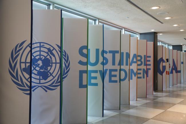 Sustainable development goals