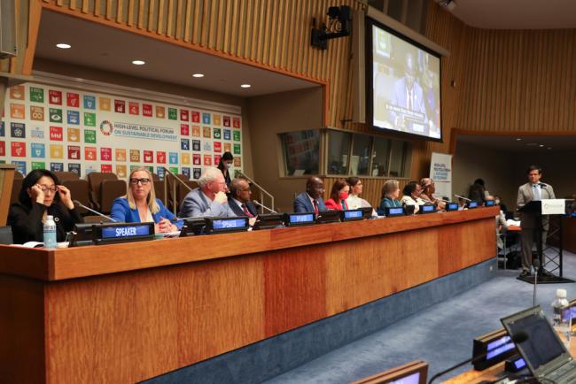 View of the dais during the session
