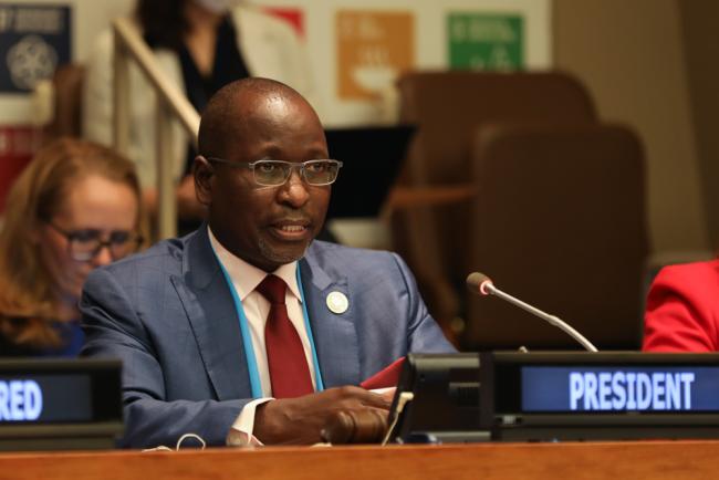 Collen Vixen Kelapile, President, Economic and Social Council (ECOSO)