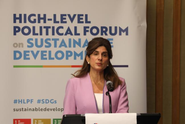 Dina Mired, Princess of Jordan