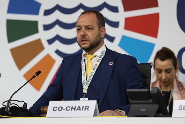 Co-Chair Borislav Sandov, Deputy Prime Minister for Climate Policies, and Minister of Environment and Waters, Bulgaria