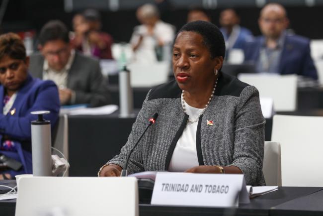Pennelope Beckles-Robinson, Minister of Planning and Development, Trinidad and Tobago