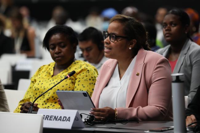 Keisha McGuire, Permanent Representative of Grenada to the UN