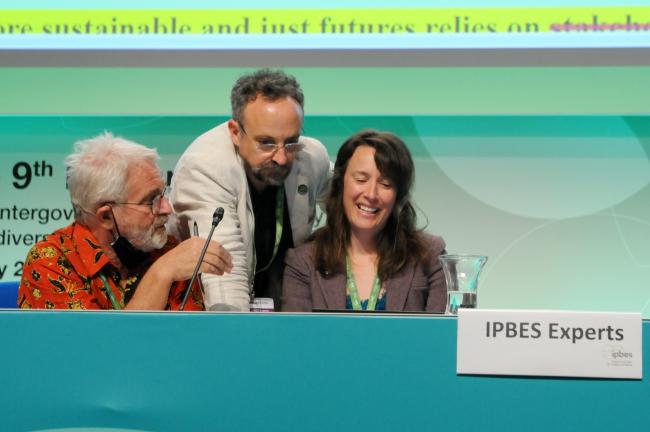 IPBES Experts consult