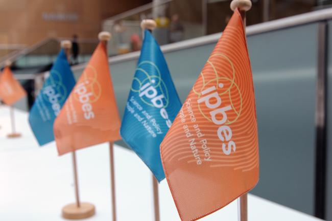 IPBES flags
