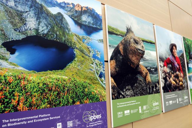 IPBES posters