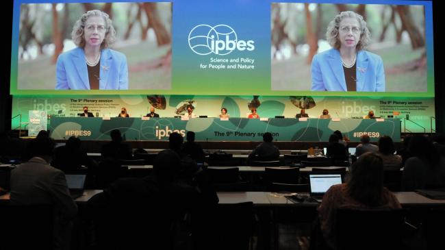 Inger Andersen, Executive Director, UNEP