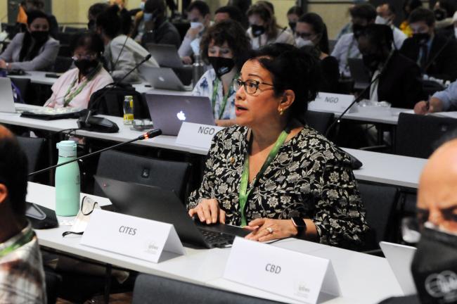 Ivonne Higuero, CITES Secretary-General