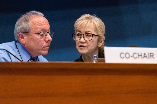 Martin Sirois, Meg Seki - OEWG-44-ExMOP-5 - 12 Jul2022 - Photo.jpg