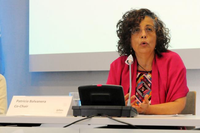 Patricia Balvanera, Mexico