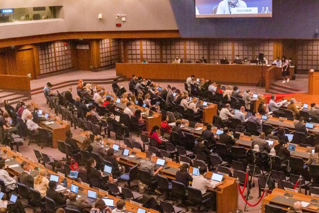 Plenary wide - OEWG-44/ExMOP-5 - 13Jul2022 - Photo