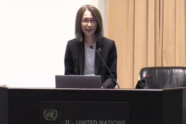 Sawako Shirahase, UNU Senior Vice-Rector