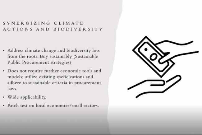 Slide by Josephine Opoku Boateng, UNU-IAS student