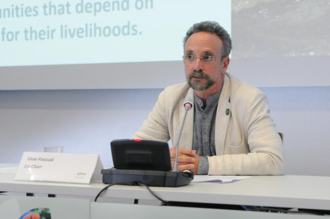 Unai Pascual, Spain