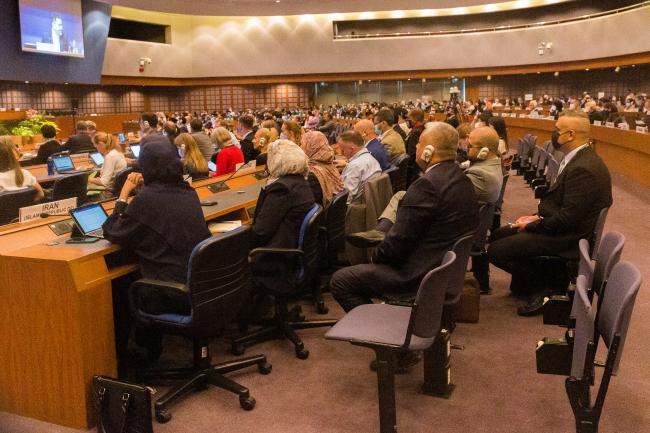 view of plenary - OEWG-44-ExMOP-5 - 11Jul2022 - Photo.jpg
