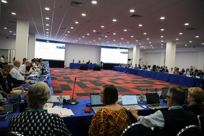 View of the room during the Thematic Group