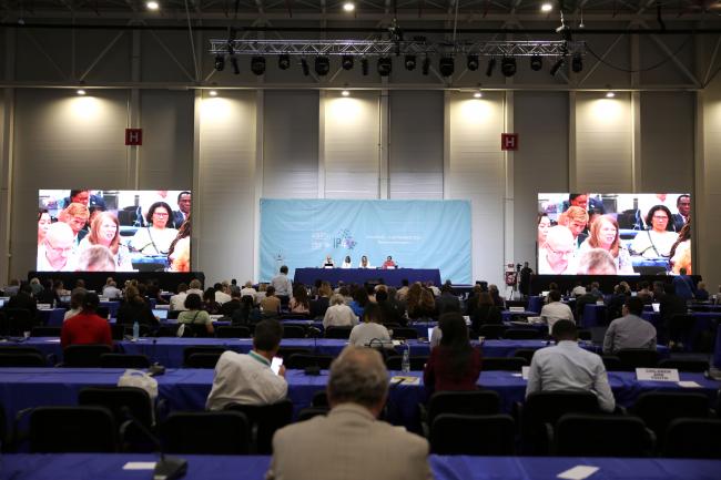 View of the room during the Plenary Session