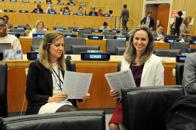 Brazilian delegates read the latest ENB