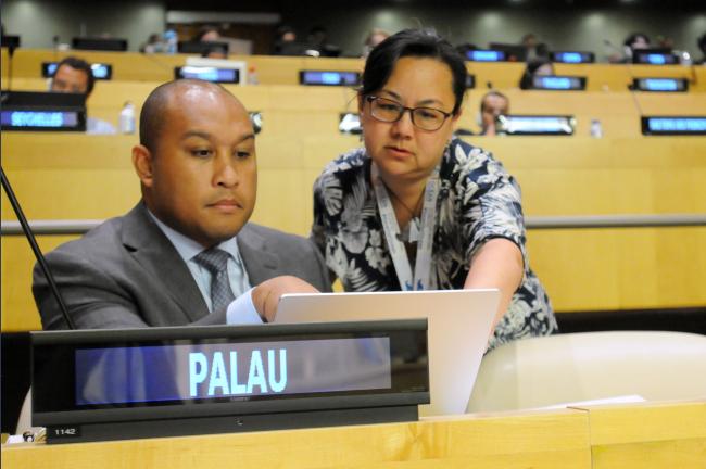 Charles Reklai Mitchell, Palau, and Joan Yang, Nauru