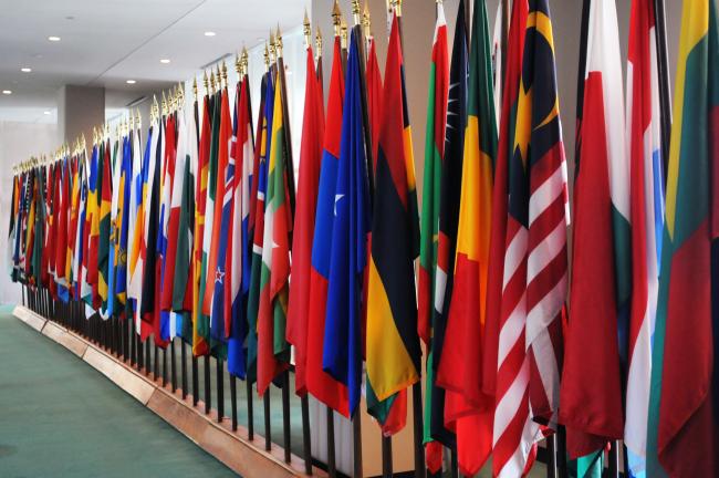 Country flags at the UN