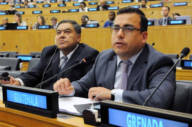 Daniel Leal Matta, Guatemala