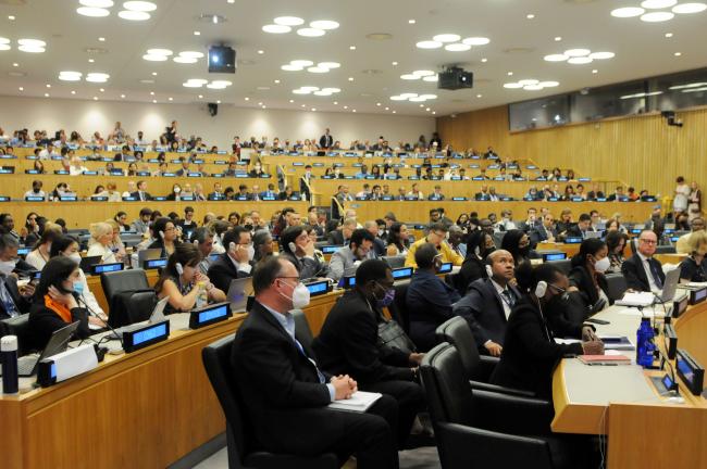 Delegates during plenary