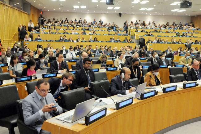 Delegates during plenary