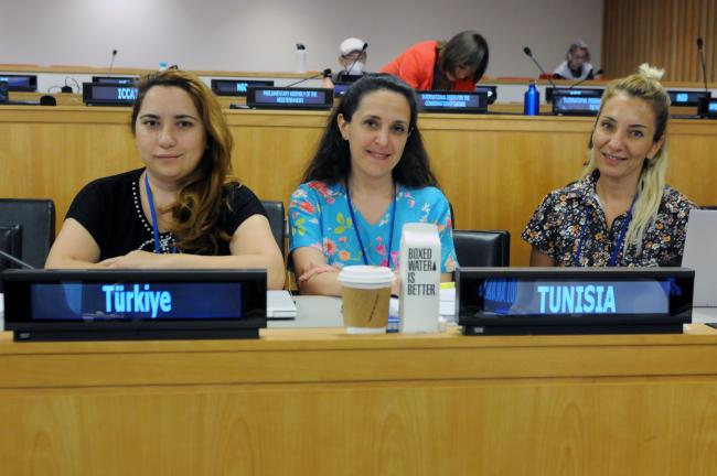 Delegates from Turkey