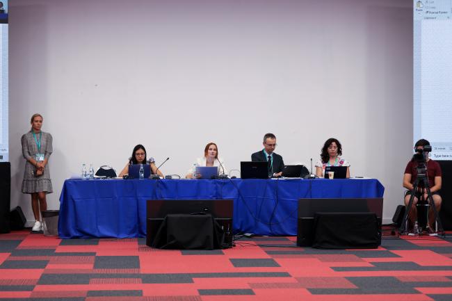   View of the dais during the Thematic Group