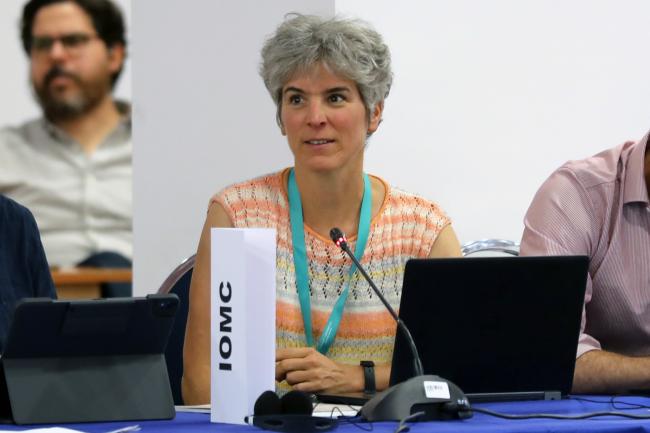 Gabriela Eigenmann, UN Industrial Development Organization, on behalf of IOMC