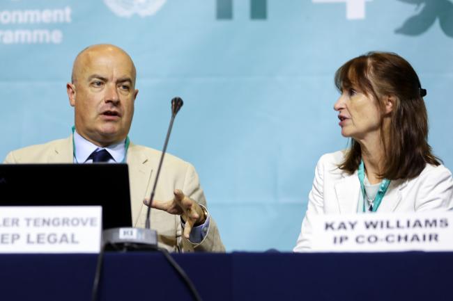 Stadler Trengove, UNEP Legal Officer, with Co-Chair Kay Williams, UK