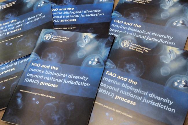 FAO publication