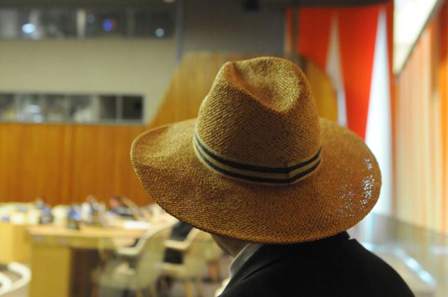 Delegate's hat